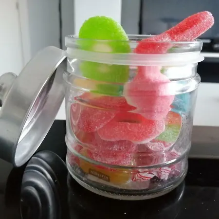 Apartamento Gredos Loft *