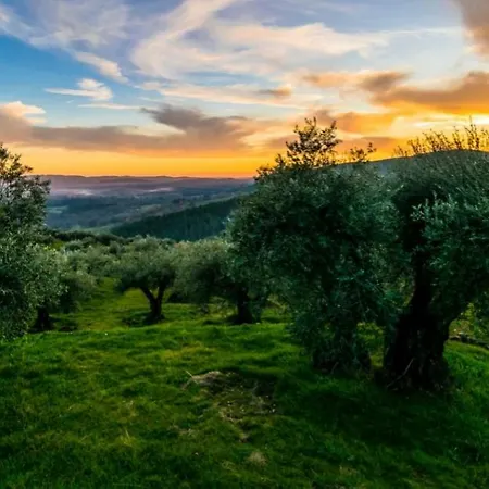 Apartamento Gredos Loft *