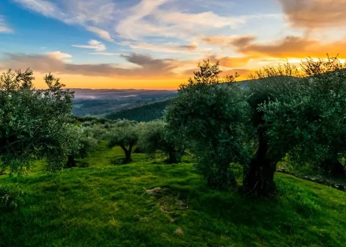 Apartmán Gredos Loft *