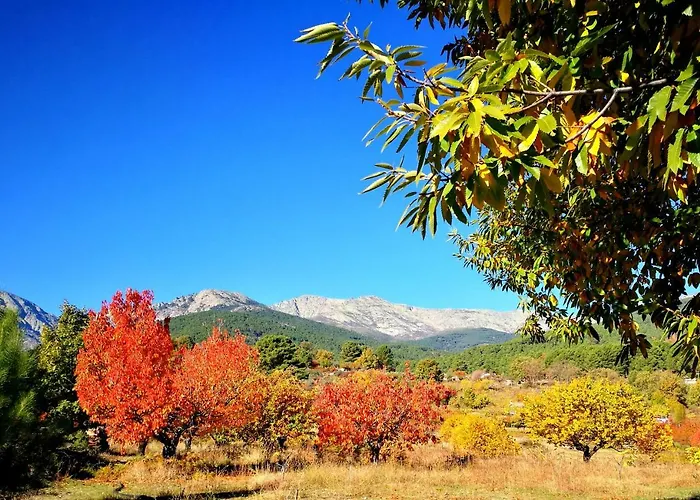 Gredos Loft * Arenas de San Pedro